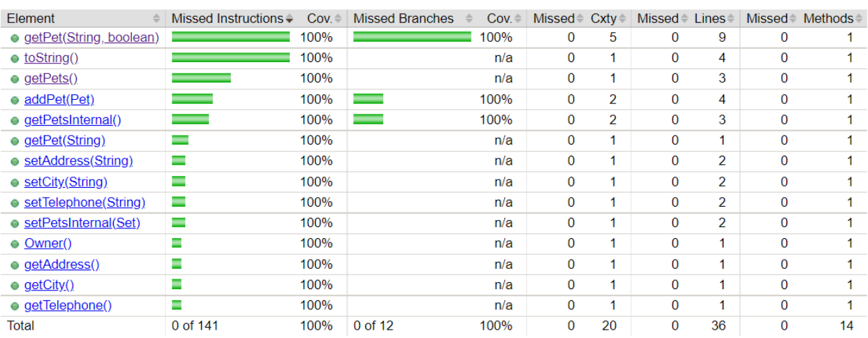 Software Testing